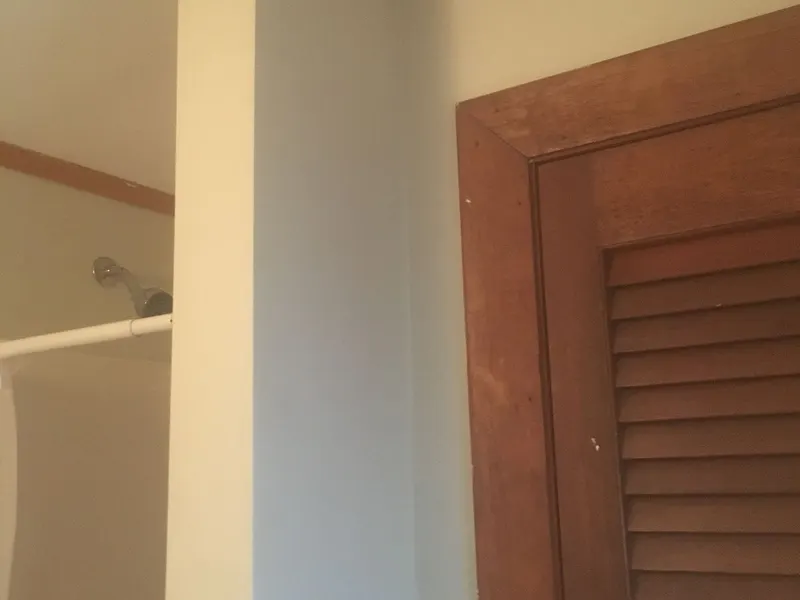 Freshly painted bathroom wall with wood trim and a louvered door
